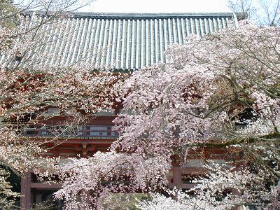北畠謙太朗 ブログ: 歴史 南北朝 アーカイブ
